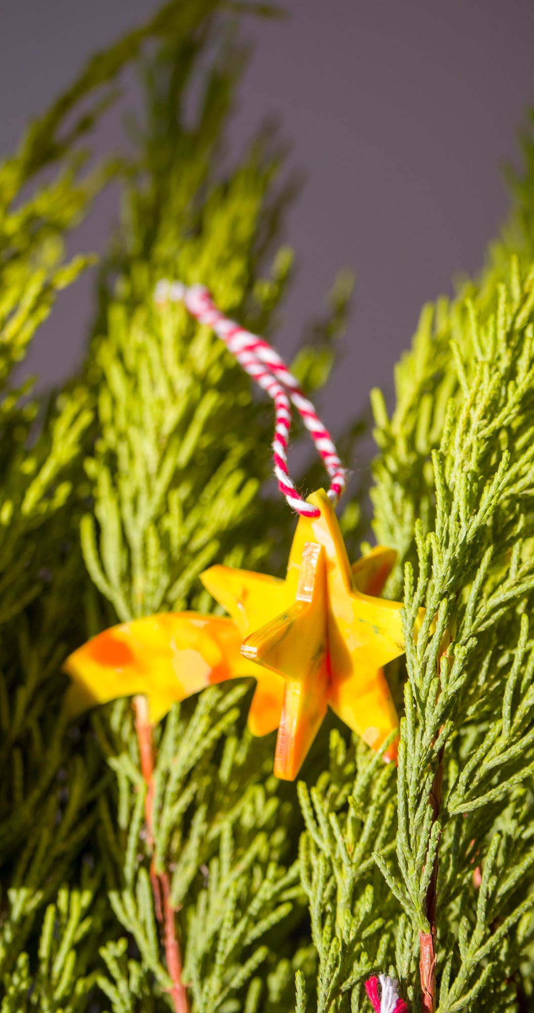 Recycled microplastic Christmas ornaments PRE-ORDER