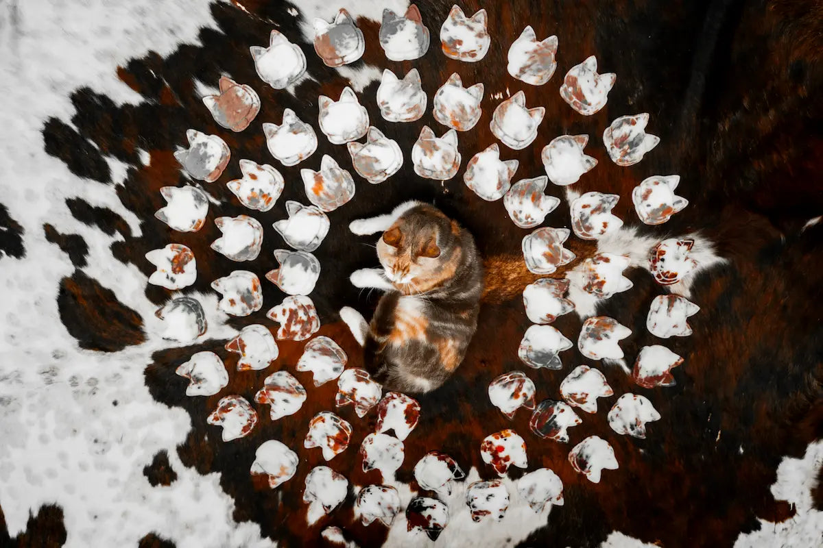 Calico Cat Coasters