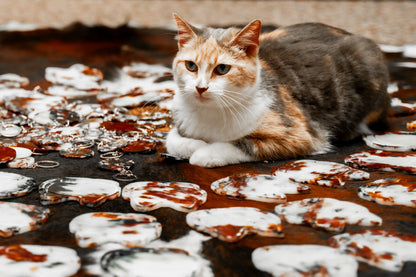 Calico Cat Coasters